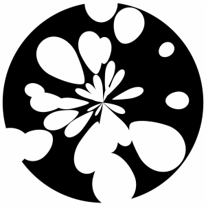Satellites + Telescopes-logo