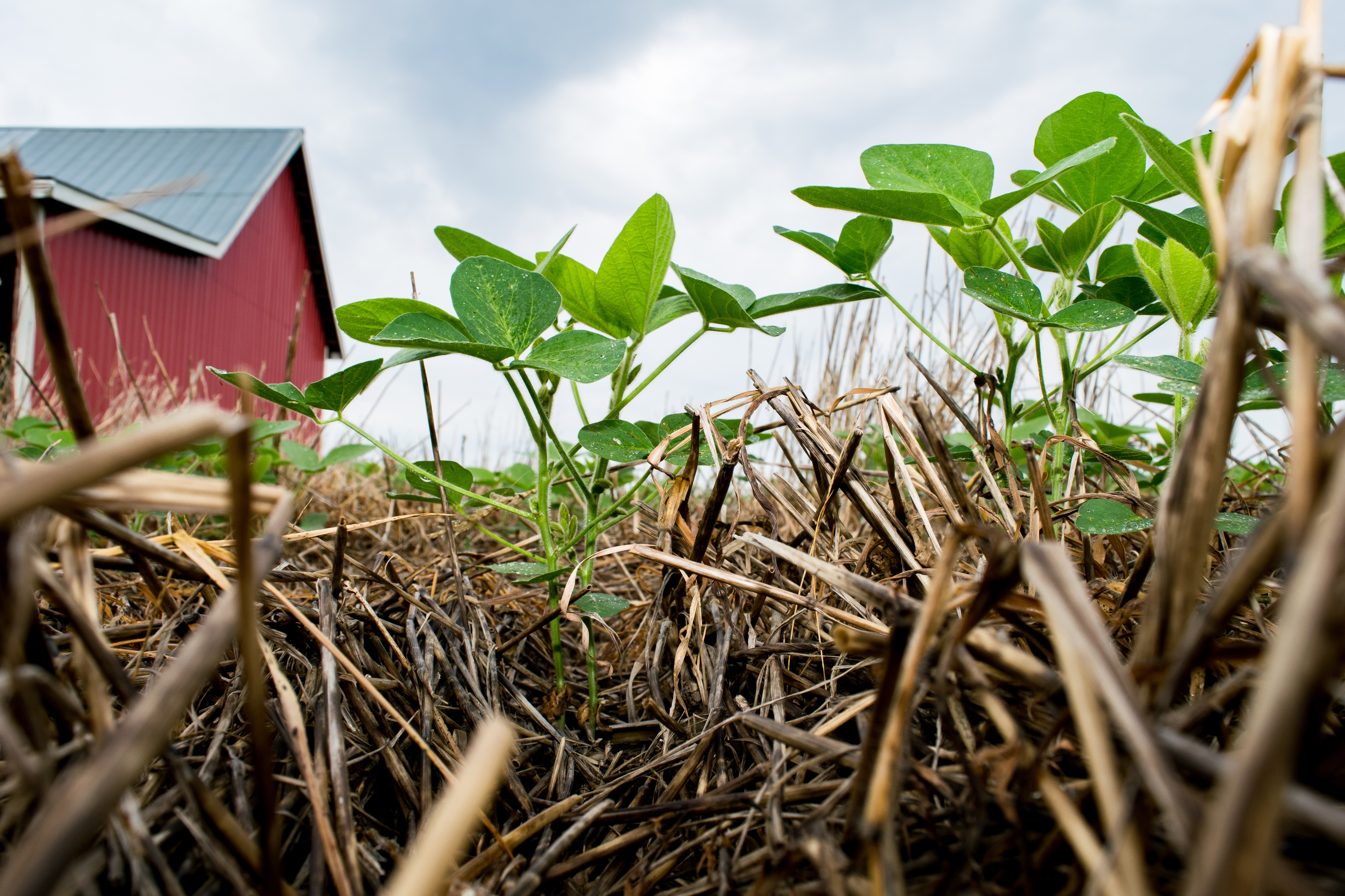 No-Till Farmer Podcast