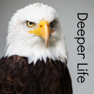 Deeper Life with Bill Stephenson-logo