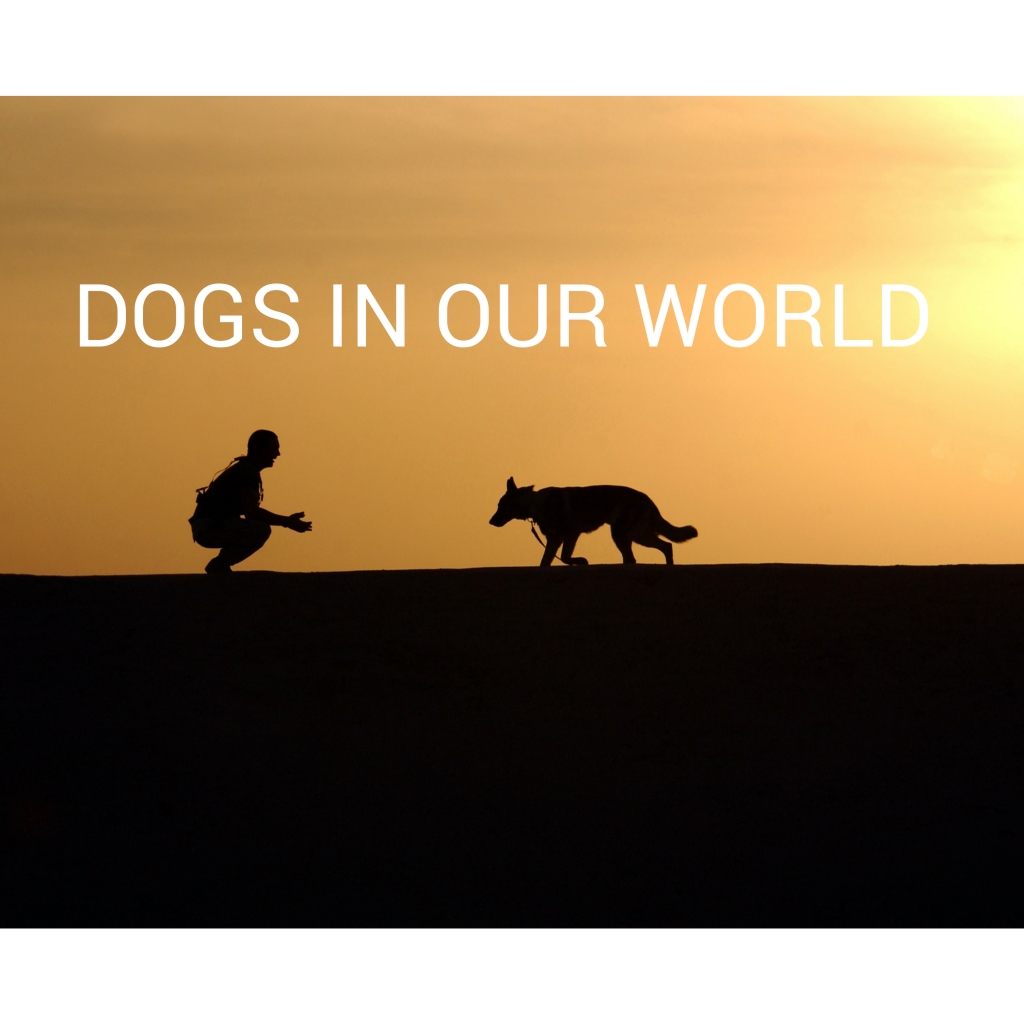 Dogs in Our World