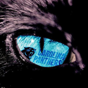 Panthers Reddit Podcast-logo