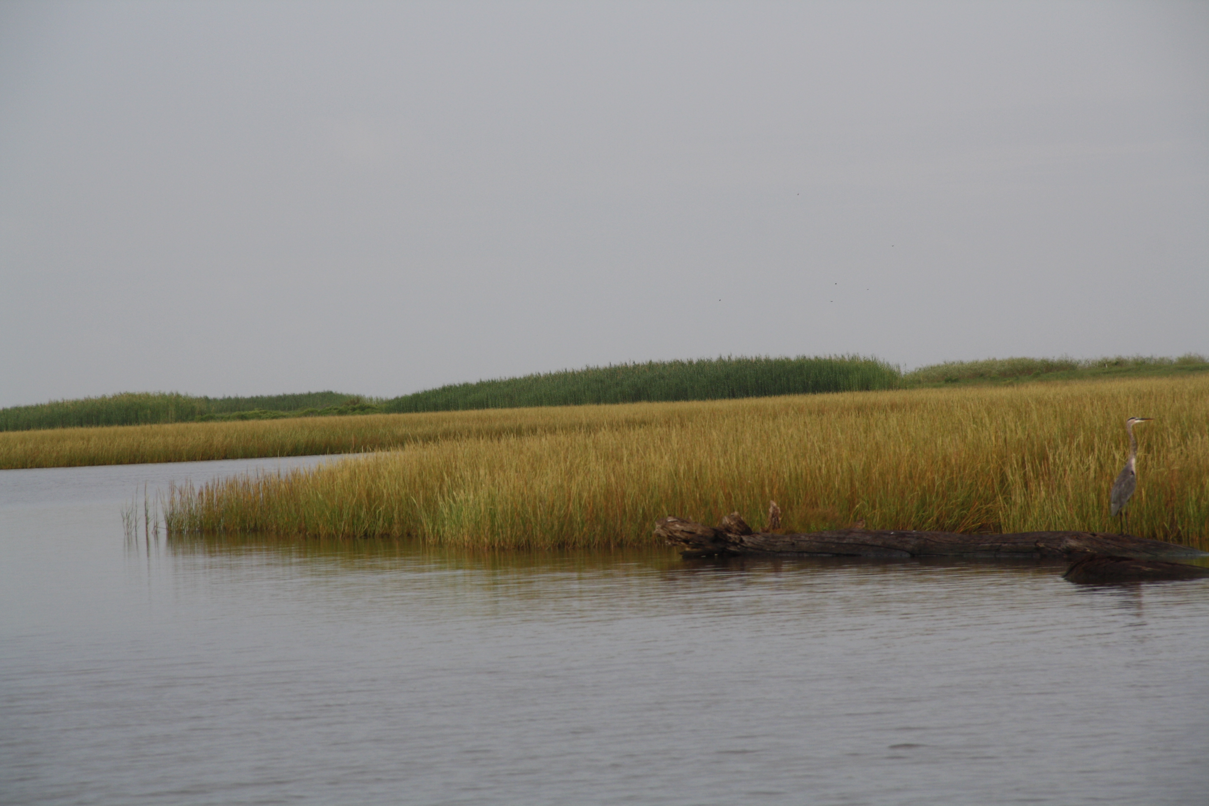 Coastal Advocacy Adventures Podcast