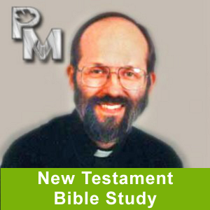 New Testament Catholic Bible Study-logo