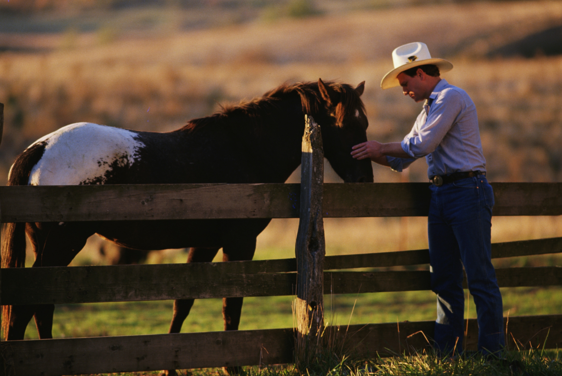 American Farriers Journal Podcast