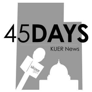 45 Days-logo