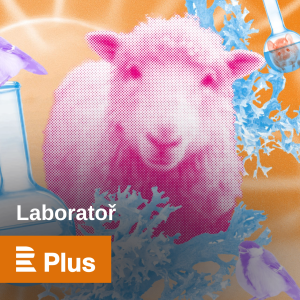 Laboratory-logo