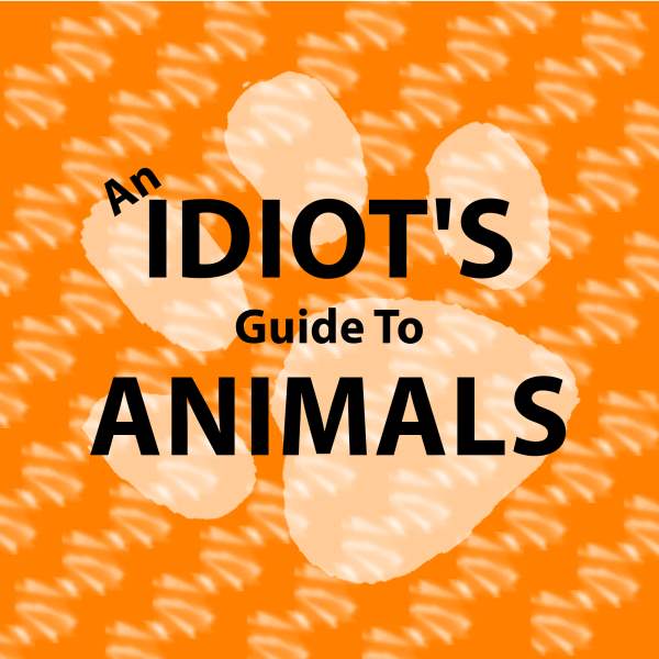 An Idiot's Guide To Animals Listen to Podcasts On Demand Free TuneIn