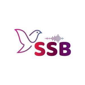 12 Days of Birds Special! Episode 012 - SSB Music Trivia