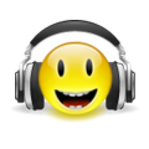 Wibmedia-logo