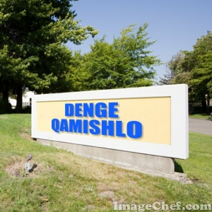Dengeqamishlo-logo
