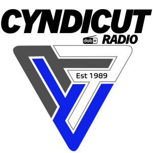 Digital Digsy - Redstripe Wednesday-logo