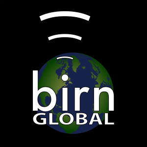 BIRN Global-logo