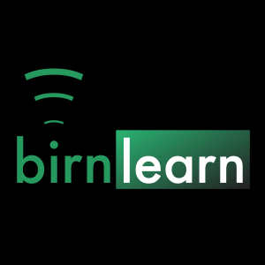 Birn Learn-logo