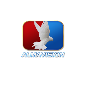 ALMAVISION HISPANIC NETWORK-logo