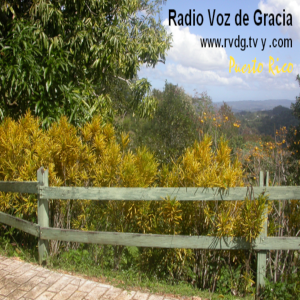 Radio Voz de Gracia / Puerto Rico-logo