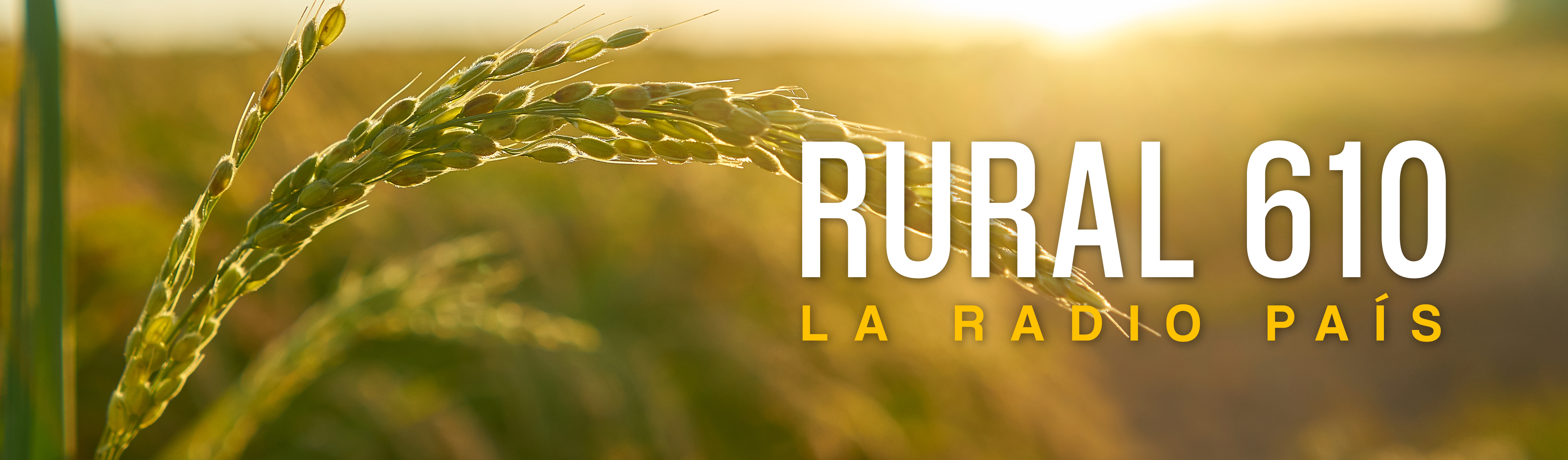 Radio Rural 610AM
