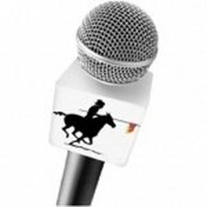 Campeiro-logo