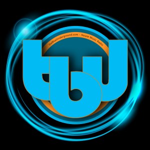 theBlueUnderground-logo