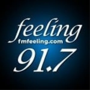 Feeling FM 91.7-logo