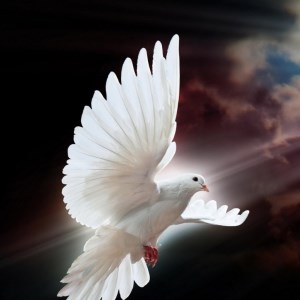 Arise Radio-logo
