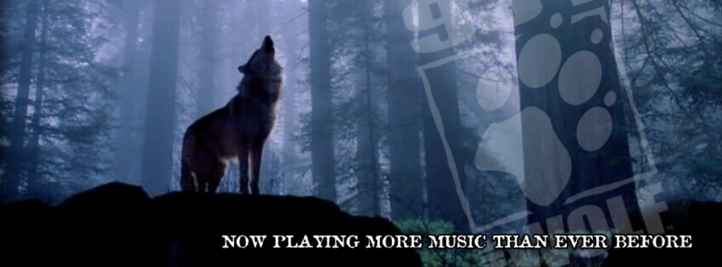 93.1 The Wolf