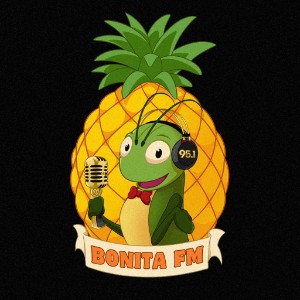 BONITA FM 95.1-logo