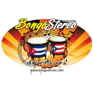 Bongostereo-logo