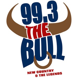 The Bull-logo