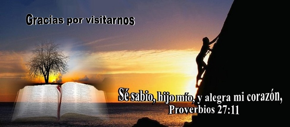 Radio Stereo Vida