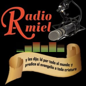 Radio Amiel-logo
