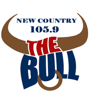 105 The Bull-logo