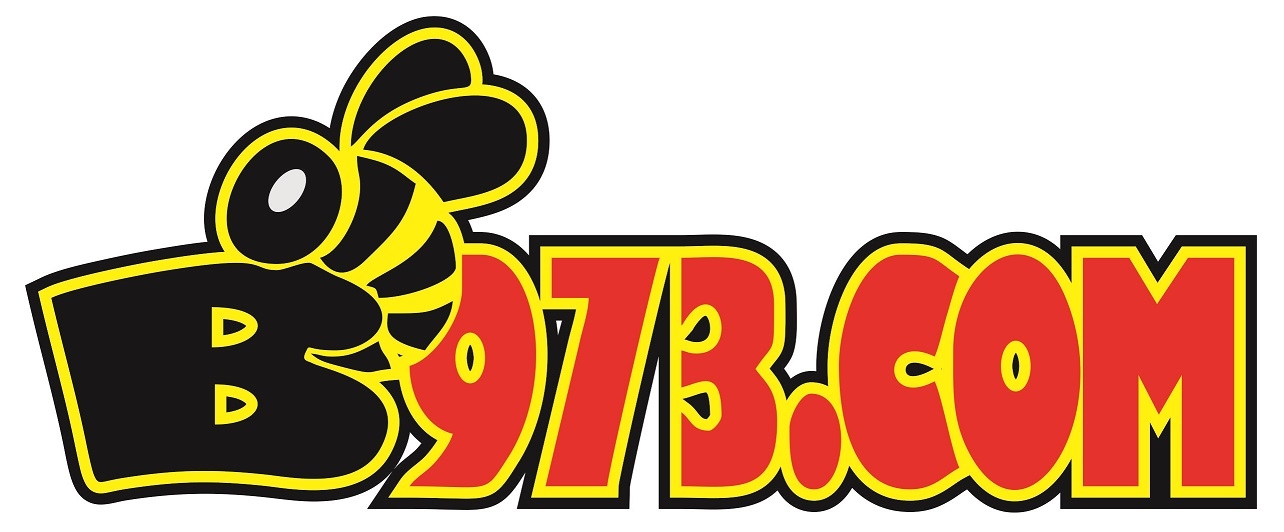 B973