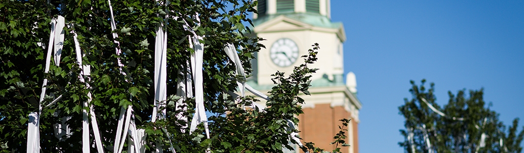 Wake Forest Football