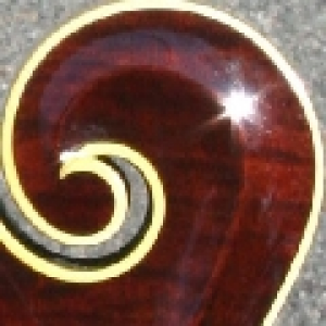 Doppelstopp-logo
