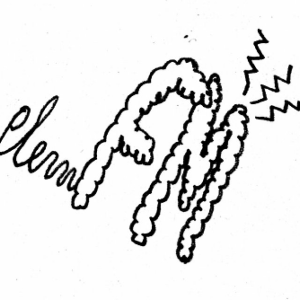 Plem FM-logo