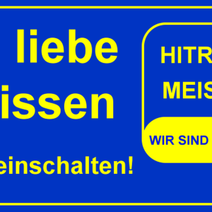 Meissendancefox-logo