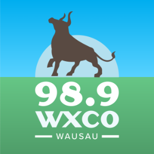 Chad Holmes Show-logo