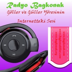 Radyo Bagkonak-logo