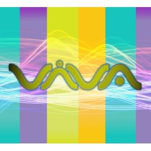 VIVA RADIO