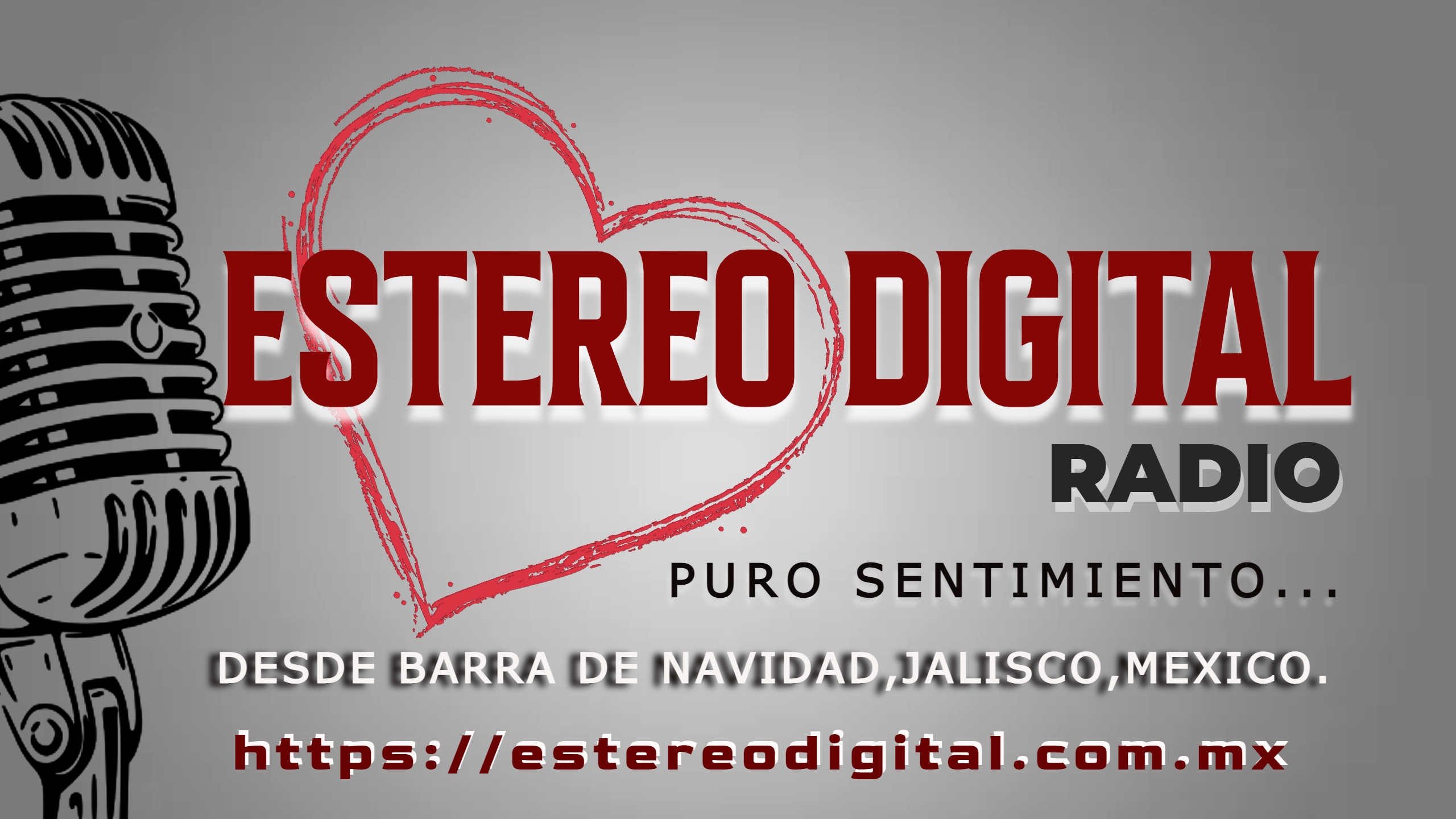 ESTEREO DIGITAL RADIO