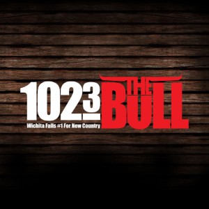 102.3 The Bull-logo