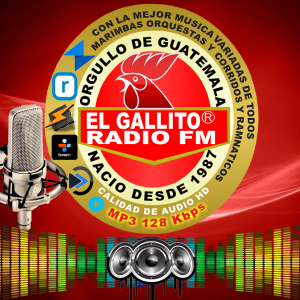 EL GALLITO RADIO FM-logo