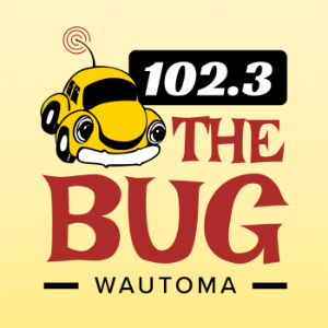 102.3 The Bug