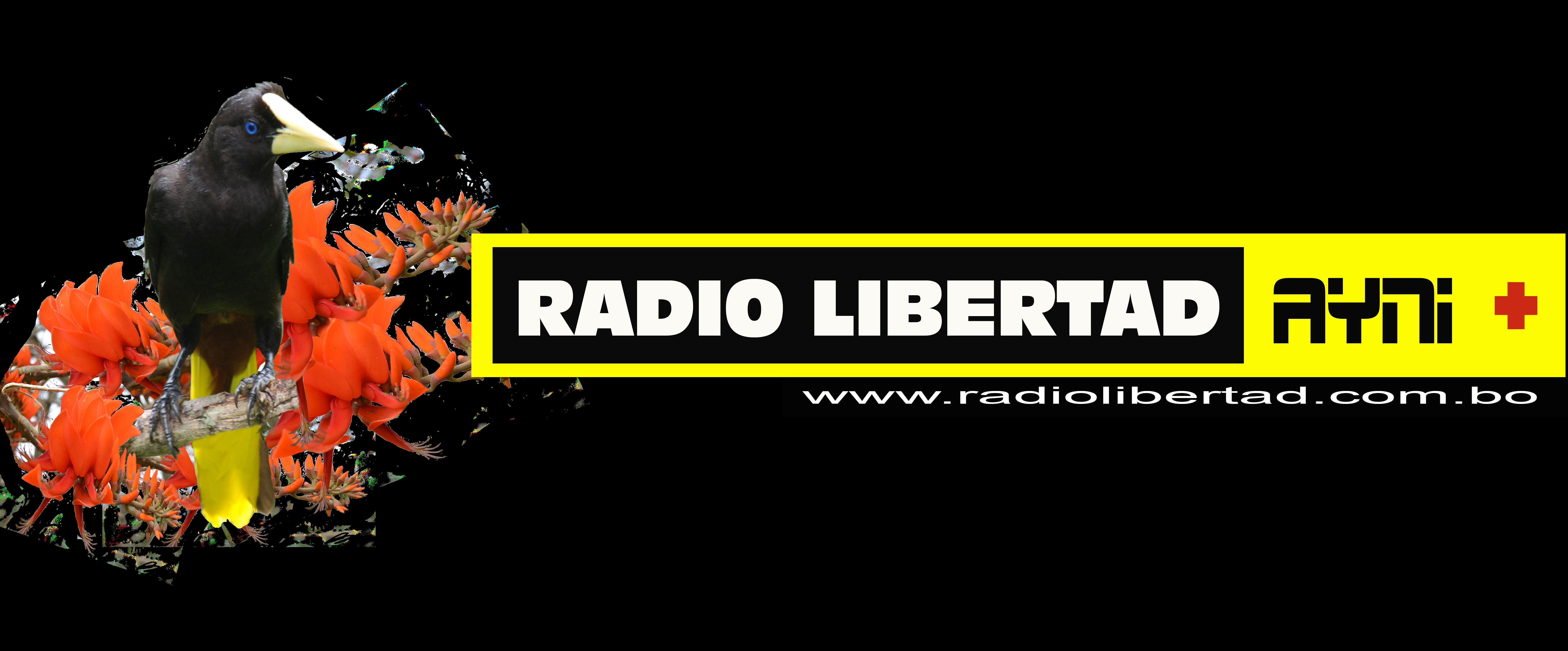 Radio Libertad AYNI+