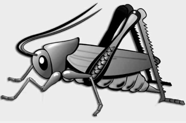 cricket insect clipart black and white