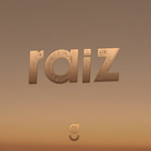Rádio Geração Raiz-logo