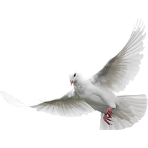 Peace FM 107.7-logo