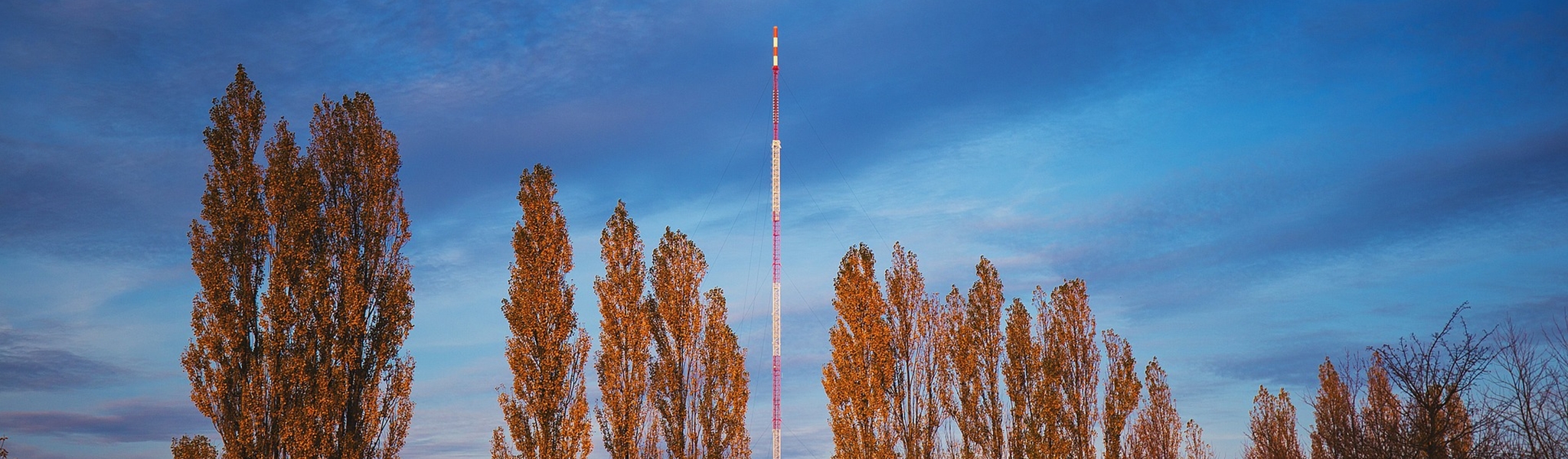 Polar Stereo