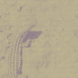 Cool Chill House-logo