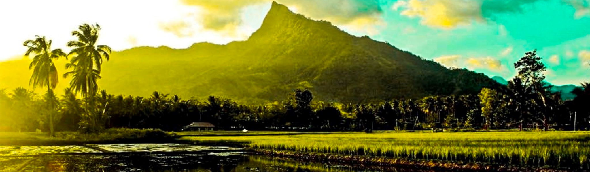 Radyo Natin Brooke's Point